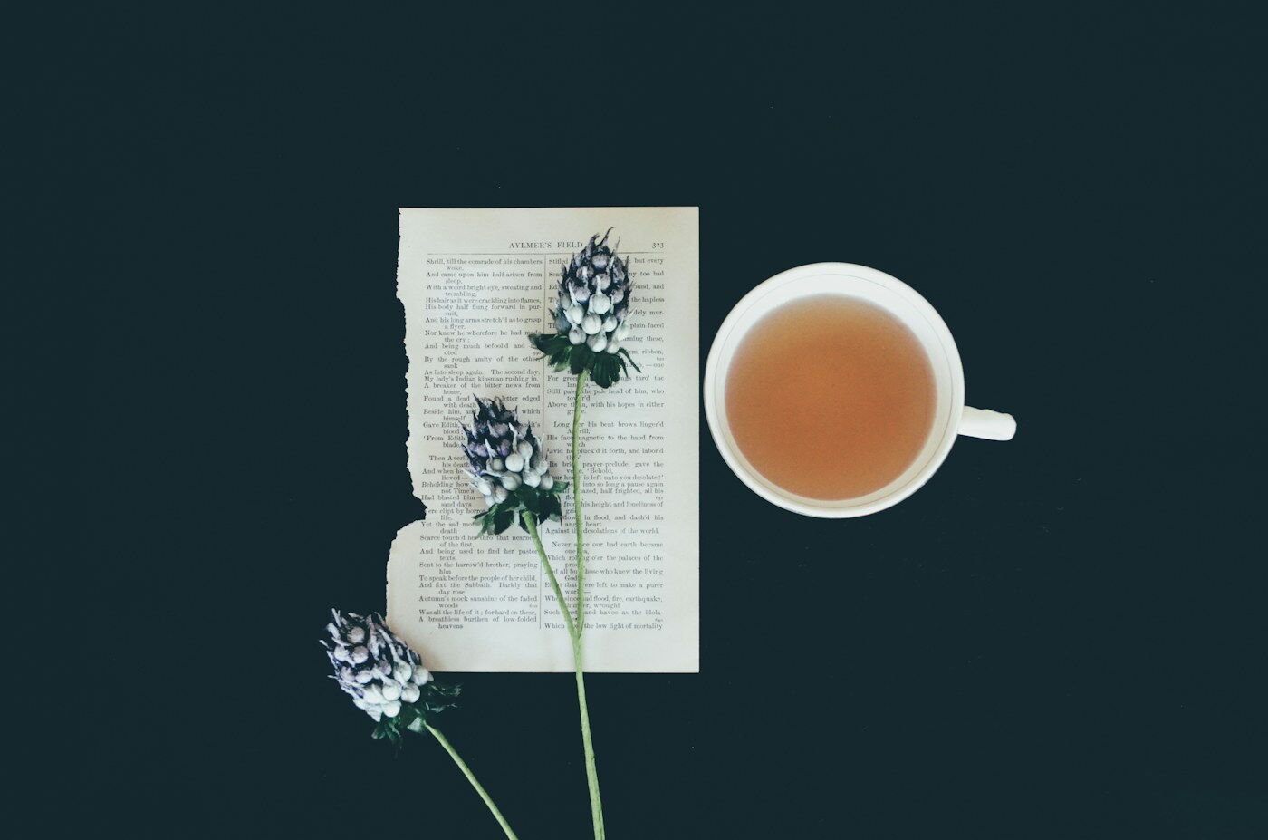شاي أعشاب مهدّي